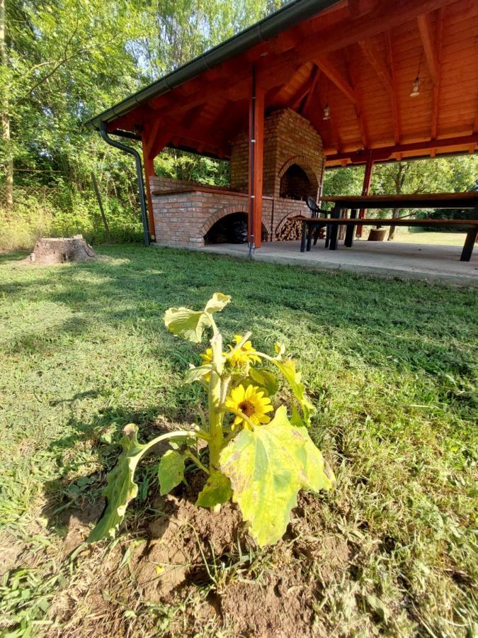 House Kupa Mb Holiday home